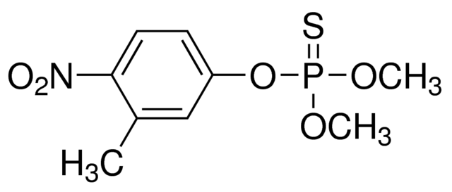 乙腈中殺螟硫磷溶液，100μg/mL