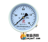 消防壓力表（計量工具）檢測